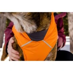 Ruffwear Quinzee™ Hundejacke Orange M 19 Ruffwear Quinzee™ Hundejacke Orange M -Haustierprodukte 001bdf29a34dffebf7840b4a759030f83c299732 1370013 de DE 17dd615b14a3a705025267b6458fddf099eb308bn8H5c2