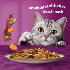 Whiskas Tasty Mix Multipack Chef's Choice In Sauce 60 X 85g -Haustierprodukte 00442002c36da7f8b13802a1093e87c1e37cdc7c 1410719 de DE Whiskas 6