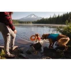 Ruffwear Hydro Plane™ Spielzeug M Orange 10 Ruffwear Hydro Plane™ Spielzeug M Orange -Haustierprodukte 006b8682fcf44b40a786d55bd2f1d1cf7f91a7a7 1364300 de DE b9c71d828876a94633bfda1055d03e137f81043ehPprdP