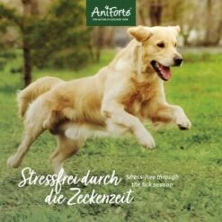 Aniforte Zecken Schild (35 Bis 50kg) Für Große Hunde 60 Kapseln -Haustierprodukte 010a1fb0eff3b08c7c0fd6ddc69909abba0586dd 1444358 de DE 6b0465714e7043aa512f07a2e3a3c8a3a07d4c02oT8Ojy