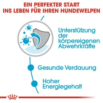 ROYAL CANIN Mini Puppy 12x85g 4 ROYAL CANIN Mini Puppy 12x85g – Bild 4