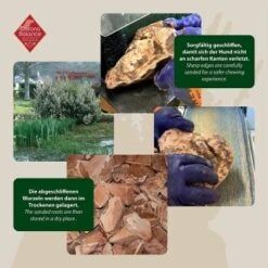 ChronoBalance Kauwurzel Für Hunde Baumheide 400 G -Haustierprodukte 02d91f4299eef8de1f5b0359bf410cef954de0e6 1409490 de DE ba8b2a31068658c9820512bd79f25900dbe0cd09ebMbro