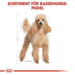 ROYAL CANIN Poodle Adult 7,5 Kg 12 ROYAL CANIN Poodle Adult 7,5 Kg -Haustierprodukte 032b5ea6cfa49c42570652ccff0f17d6a9c5c3b3 041bf486a1c57468bdf7f77e34e32ac35b6d49d3