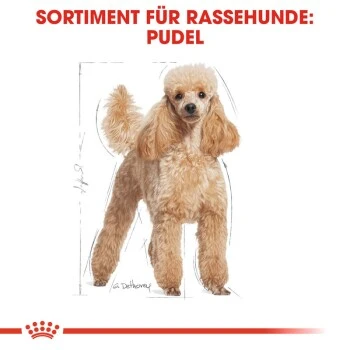 ROYAL CANIN Poodle Adult 7,5 Kg 5 ROYAL CANIN Poodle Adult 7,5 Kg – Bild 5