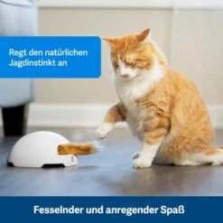 PetSafe Automatisches Katzenspielzeug Fox Den 8 PetSafe Automatisches Katzenspielzeug Fox Den -Haustierprodukte 038232be25f9015ce160251d628e0af5cabbc69f 1351524 de DE dbeb3a30744bbc866a12a3ecd4f619007abf0a14xn8Dpf