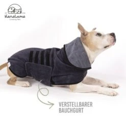 KaraLuna Bademantel Für Hunde XS -Haustierprodukte 03f83cf242d0a2d273b7c7fd5c24e5a315631dc0 1678940 de DE 18943efe1d2e504eb277f7fcc88424980d4487ac7sFjlx