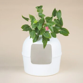 RHR Quality Katzentoilette Flower XXL 4 RHR Quality Katzentoilette Flower XXL – Bild 4