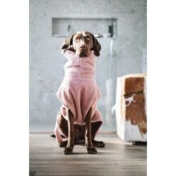 Lills Lill's Hundebademantel "Pink Berry" 35 Cm 9 Lills Lill's Hundebademantel "Pink Berry" 35 Cm -Haustierprodukte 04a74783d50cdc98002051c351bf7a8a33cd1745 1349655 de DE 212dae4af17564ba144b7af1fd42f4b436426636rEvFkh
