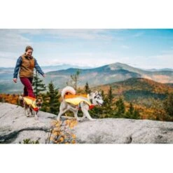 Ruffwear Lumenglow™ High-Vis Hundejacke Orange XL 17 Ruffwear Lumenglow™ High-Vis Hundejacke Orange XL -Haustierprodukte 055f8ec457e40b7d33e9c275c20ea79bae1e006a 1378153 de DE e8b1f6094bc39d07bc90bd4fe7fc0806cf22bedaBId7iB