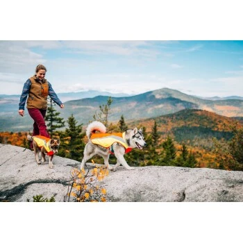 Ruffwear Lumenglow™ High-Vis Hundejacke Orange XL 8 Ruffwear Lumenglow™ High-Vis Hundejacke Orange XL – Bild 8
