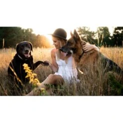 Mammaly Super Protect 110g -Haustierprodukte 05c9b1b79b877db2952fc05b88ebc49c5e35a7e1 1472890 1