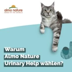 Almo Nature Almo Holistic Urinary Help 30x70g Mit Fisch -Haustierprodukte 060c8767b8c7969b21cac8aabe9818c799d04626 1479698 2 de