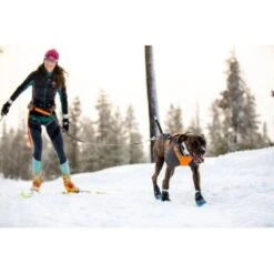 Ruffwear Cloud Chaser™ Hundejacke Schwarz XXS 20 Ruffwear Cloud Chaser™ Hundejacke Schwarz XXS -Haustierprodukte 06cfa3a745821d84428a1de78da0089ce33c0271 1369623 de DE 87163fc3e147e303fdf97d4ab87fd720c4f34a96nSWmMF