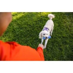 Ruffwear Gourdo™ Spielzeug L Violett 15 Ruffwear Gourdo™ Spielzeug L Violett -Haustierprodukte 074bf0ab44e7bafef81c01819c27eab65205d474 1639892 de DE 28fc47d273ea68bda4d3a9846dd4fb22f03b348aCKlbF9
