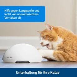 PetSafe Automatisches Katzenspielzeug Fox Den 11 PetSafe Automatisches Katzenspielzeug Fox Den -Haustierprodukte 08408a2d9006c3b10c605053b082403622980ada 1351524 de DE 8502feb5da21e0ab937dc8c82ecaeac4aebee886lllVcE