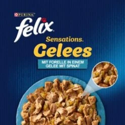 Felix Sensations Gelees Forelle & Spinat 26x85 G -Haustierprodukte 0877a02be1732da9a286921f303b9939186ea651 6730e3c9495a0b3316d573ad2b19086cc44f3848