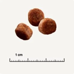 SELECT GOLD Digestion Senior Geflügel Und Reis 2,5kg -Haustierprodukte 0999645de19e34aac9b2c14ea642717fe4bc62d2 1001086008 de DE 6