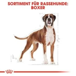 ROYAL CANIN Boxer Adult 12 Kg -Haustierprodukte 0a1e579b39821652565758b5ee804a79a6bf8957 9d8dd228dff8f4c8af80f6f9491d9cdf53626cb6