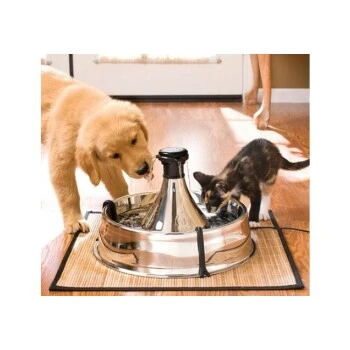 PetSafe Drinkwell Edelstahl Trinkbrunnen 3,8L 2 PetSafe Drinkwell Edelstahl Trinkbrunnen 3,8L – Bild 2