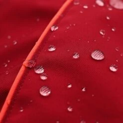 THE DOG IDEA Regenmantel Duke Rot XXXS -Haustierprodukte 0b96c2b346599e3bfc621cd46bc5222963a975ce 1487619 de DE 15918523d26ad94991e88a54ba0dbb6c1b769d88mq6M8P