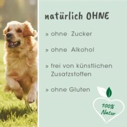 CdVet DarmAktiv Hund & Katze -Haustierprodukte 0dbc34c210e91bb410827be217bc3fba77c3fd32 1049219 de DE 5094779605b36bf328986df22be8858164a90f82nvWVFR
