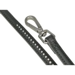 Haustierprodukte 7 Haustierprodukte -Haustierprodukte 0e4d429d6b4ea414d846414cdcf8df3e4e16e8cb 6aceb50234562dd2d2ccf3235be56a1e28ff6abe