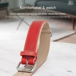 Freudentier Gefüttertes Halsband Aus Leder Rot L -Haustierprodukte 0f630c6f0729806bc3c30ba5c2b9c3d909c228ee 1655241 de DE 198e5678649df51bbe133097f6107207e25ec907R9K85V