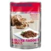PREMIERE Deluxe Ragout Adult Reich An Rind 22x85 G