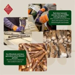 ChronoBalance Olivenholz (L) 2er Paket -Haustierprodukte 119924f0c0ea87d62dd1b482380efeaa23efd719 1418701 de DE 8f48e572bfc115876fd8e9be5efc6bdd38136584fMMUS9