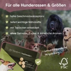 Pawlie's Gelenk Fit Tabletten Hund (100 Stück) 7 Pawlie's Gelenk Fit Tabletten Hund (100 Stück) -Haustierprodukte 13c2aa37a08da916b1cd8014d264ba1cb5e12204 1626201 de DE 016987b286bf5101f5ed2a1610825cada7f4cd39esKrs5