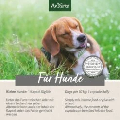 Aniforte Zecken Schild (bis 10kg) Für Kleine Hunde 60 Kapseln -Haustierprodukte 14f92616b6322b4e62e01d29fcccaf885e976307 1332831 de DE 6bc9b6e0f4008a56f840e783386b682a64027c34fBMT6s