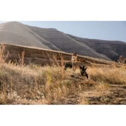 Ruffwear Hover Craft™ Spielzeug Orange 15 Ruffwear Hover Craft™ Spielzeug Orange -Haustierprodukte 15670c7f824cb67257971dca32974b68eba14a2f 1364297 de DE f53c4ca5615bcabb9ccbd712339b8f568f29402frPrk2m