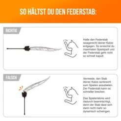 Schlitzohr Federwedel Birdy 3er Pack -Haustierprodukte 16072e01b419f04186b3ef116d6cd36b37e5e14d 1659562 de DE 14a63acfadc12c43ff7fa0cac6e3fa04d776aa75sEyDpP