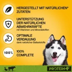 Pedigree Dose Protein+ In Pastete 12x800g Rind Mit Ente -Haustierprodukte 1696c2b3fa0bb6b039068e7fe6dce0a8f30d7069 1394131 de DE pedigree 2