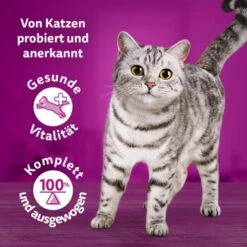 Whiskas Tasty Mix Multipack Chef's Choice In Sauce 60 X 85g -Haustierprodukte 1a0896467c0da700d9e0fc280bc0258026c8c9f0 1410719 de DE Whiskas 2 1