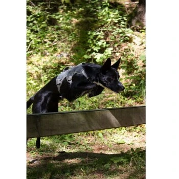 Ruffwear Geschirr Webmaster Grau XS 2 Ruffwear Geschirr Webmaster Grau XS – Bild 2