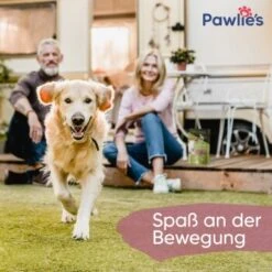 Pawlie's Gelenk Fit Tabletten Hund (100 Stück) 9 Pawlie's Gelenk Fit Tabletten Hund (100 Stück) -Haustierprodukte 1c6a6429b71eab5415d0214c381f07051a1fc258 1626201 de DE fc246e46dc05978124c2e49ef6a7667224e432edKNFNet