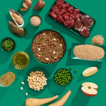 Fred & Felia FRED 10x390g SENIOR Hirsch & Pute 6 Fred & Felia FRED 10x390g SENIOR Hirsch & Pute – Bild 6