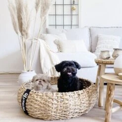 District 70 COCOON Natural M 10 District 70 COCOON Natural M -Haustierprodukte 1db584284c497361442002ba80ca8dd9597a35b9 1ad367312153dfaf420d5600b6e8e9dac5cec798