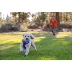 Ruffwear Huckama™ Spielzeug Violett 13 Ruffwear Huckama™ Spielzeug Violett -Haustierprodukte 1e25287ed59c30d76e9b799ca71232e607c6932b 1639706 de DE 4cde75bd4ef04e9f936b40473471e71f69a39443R9gkOp