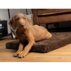 TrendPet VitaMedog Orthopädische 5 Cm Matratze Braun XS -Haustierprodukte 1f7e063200c2d564362d194b0af60fb3ade9f566 1223160 de DE ed537fa91b415038159f45fe33dd09ae07f5456fjrdc9Q