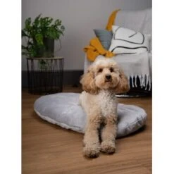 TrendPet Emma Liegekissen Grau S -Haustierprodukte 1fde93a0a4310aa8fdc014ce0a73ac7f5c346f26 1369472 de DE c3a42c6f63354608537a4614c9b7658d690116267U3zzx