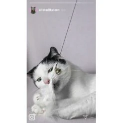 Kater Kasimir Premium Katzenangel Set Aus Buchenholz Mit 4 Handgemachten Anhängern -Haustierprodukte 21dd16f50076a5d627c45258925f2847665d22a7 1422145 de DE ad7eb1e3270aeafca2a582afabb293db93269a7cF1epRY