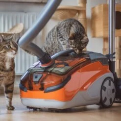 THOMAS AQUA+ Pet & Family 21 THOMAS AQUA+ Pet & Family -Haustierprodukte 21e8e8518abc51c946ca914e90765288e3a69832 1408595 de DE b89bf30d7c68d7291af3123da80a610e6c34da4duk7V17