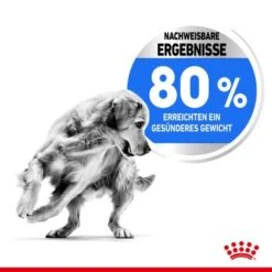 ROYAL CANIN Light Weight Care Medium 12 Kg -Haustierprodukte 22a1db055c68432d59e1b89a940e4c17f7553dda 1376169 de DE asa 5