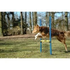 Dobar 3-teiliges Agility Sprung-Set,, Inkl. Tragetasche 7 Dobar 3-teiliges Agility Sprung-Set,, Inkl. Tragetasche -Haustierprodukte 23438a1c89953580debb447a4f2a6705cf109122 9daba483a29d35b05cf9df2cf0269c15e7db3ed2