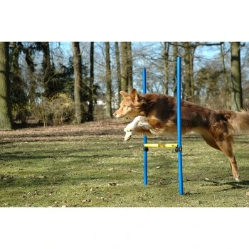 Dobar 3-teiliges Agility Sprung-Set,, Inkl. Tragetasche 3 Dobar 3-teiliges Agility Sprung-Set,, Inkl. Tragetasche – Bild 3
