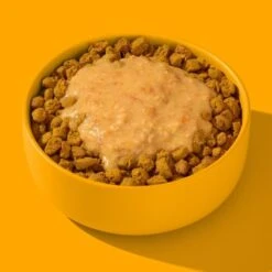 Fred & Felia FRED Smoothie Huhn Mit Kurkuma 10 X 200g -Haustierprodukte 236bc2fb7203a95703c196a9d37d1a264cc266a0 1428005 de DE 1d687c6cc508a78e5eeee2cd9e468729594e5ec1PmlLMC