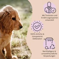 FAVLY Petfood PURE Bites Hirsch 360 G 7 FAVLY Petfood PURE Bites Hirsch 360 G -Haustierprodukte 236dbc85f5fb75ec5fb4367bde1445e3087ffdcd 1474003 de DE 80624b888460a5c29f043365a19496292e44fd84TlIvR8