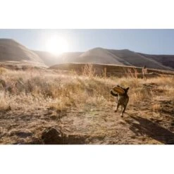 Ruffwear Hover Craft™ Spielzeug Orange 14 Ruffwear Hover Craft™ Spielzeug Orange -Haustierprodukte 23f3ce0fb188e4f5a253007adc90481d6747961b 1364297 de DE e44fe3627eb338195cfdd7c589598a8edb05def2xpzXS1